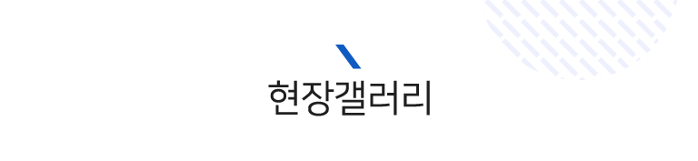 포트폴리오
